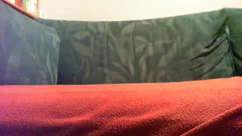 Snapshot of zevioo77 chatting on 18, 9, 2025 zevioo77 online show from 18, 9, 2025