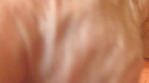 Snapshot of zevioo77 chatting on 18, 11, 2025 zevioo77 online show from 18, 11, 2025