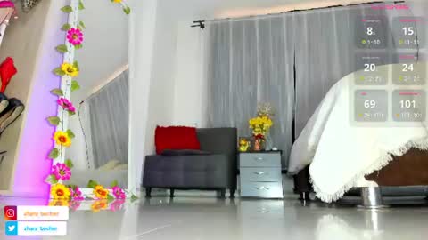 Zhara online show from 19, 6, 2026