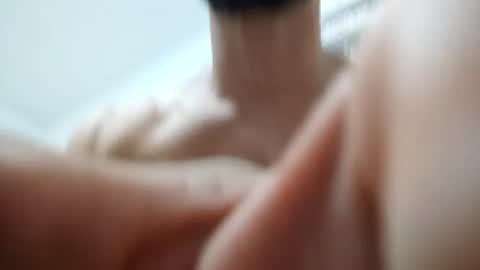 Snapshot of zigfrid666 chatting on 17, 6, 2026 zigfrid666 online show from 17, 6, 2026