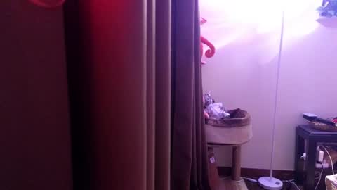 Ziggy ziggy-   online show from 2, 2, 2025