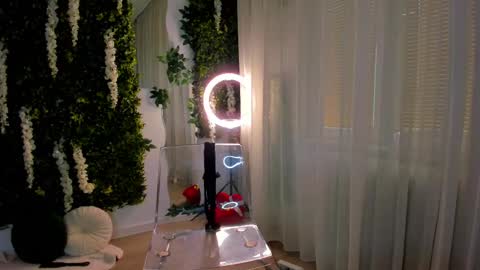 Galli online show from 27, 2, 2025