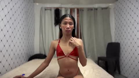 Zinnia nics online show from 8, 11, 2025