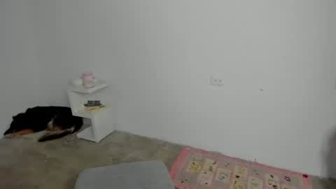 Zoe online show from 24, 4, 2026