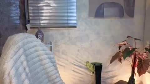 Snapshot of zoee_kiss_ chatting on 9, 5, 2026 ZOE online show from 9, 5, 2026