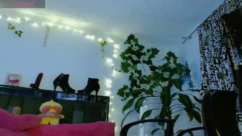 zoemi online show from 24, 1, 2025