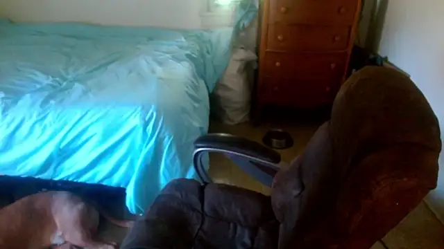 DADDY KANE8--- online show from 23, 4, 2026