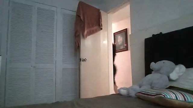 panquesitorico online show from 13, 4, 2026