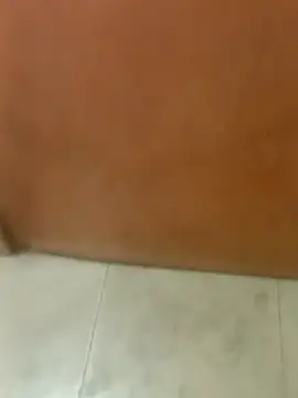 Rupok dulavai online show from 21, 11, 2025