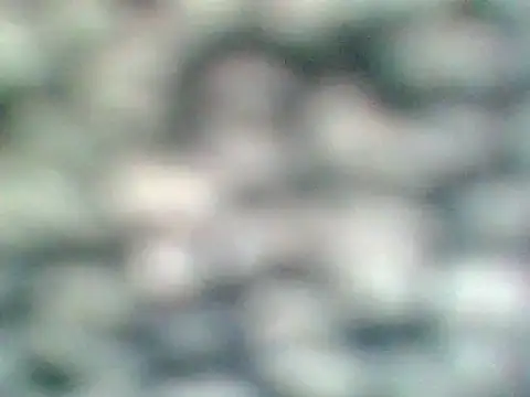 Helennahot online show from 21, 4, 2026