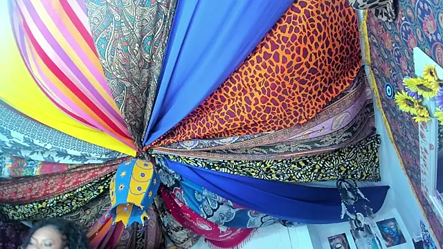 Snapshot of ElizaGrey_ chatting on 19, 1, 2025 ElizaGrey online show from 19, 1, 2025