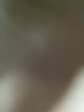 Lia flowers online show from 1, 3, 2025