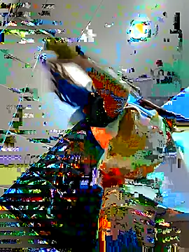 Snapshot of Sam_Sara chatting on 16, 2, 2025 Sam Sara online show from 16, 2, 2025