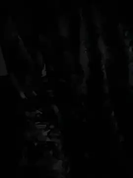 demonslayerr999 online show from 23, 12, 2024