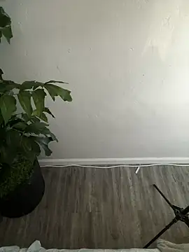 demonslayerr999 online show from 26, 2, 2025