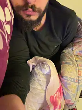 BigEgyptianDiick online show from 11, 2, 2026