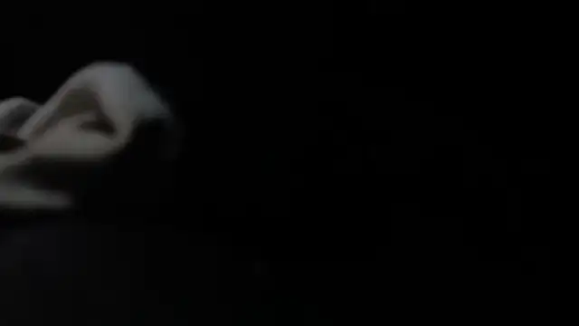 Snapshot of VARGAcz chatting on 4, 2, 2026 VARGAcz online show from 4, 2, 2026