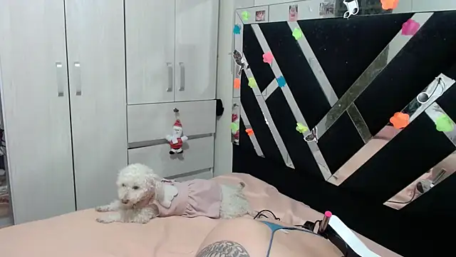 katery wok11 online show from 5, 4, 2026