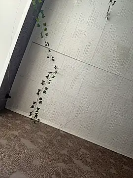 AmmyHot online show from 23, 2, 2026