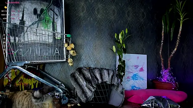 little grinch666 online show from 30, 1, 2025