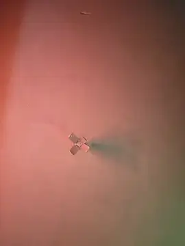 Ricorryxh online show from 9, 9, 2025