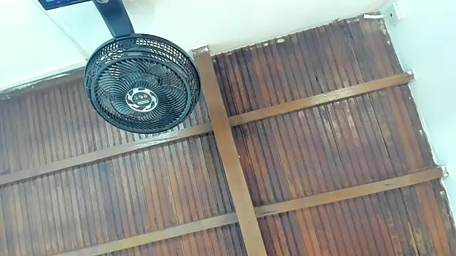 emily-fox online show from 21, 4, 2026