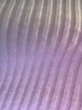 Isabellafantazy online show from 16, 12, 2025