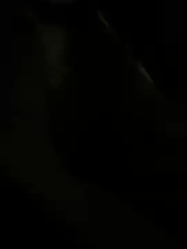 RoodoggXL online show from 22, 3, 2025