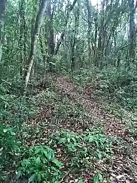 Snapshot of OFICINA_Simas-Turbo chatting on 20, 9, 2025 OFICINA Simas-Turbo online show from 20, 9, 2025