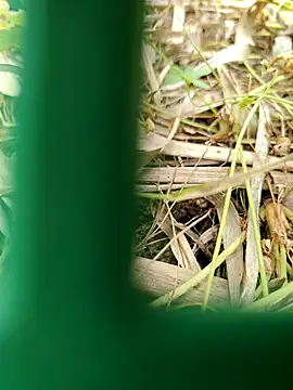 parejamlga58 online show from 21, 4, 2026