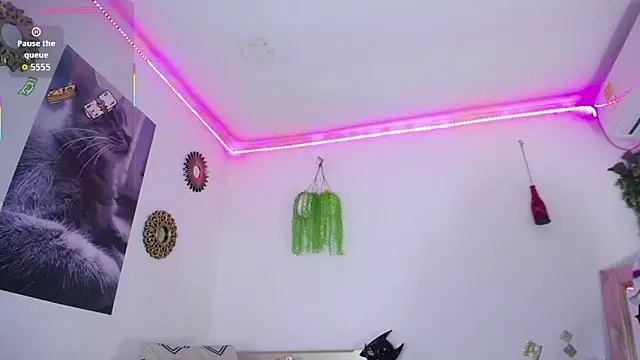 huge armound online show from 8, 3, 2026