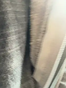 Followthepiper online show from 20, 3, 2025