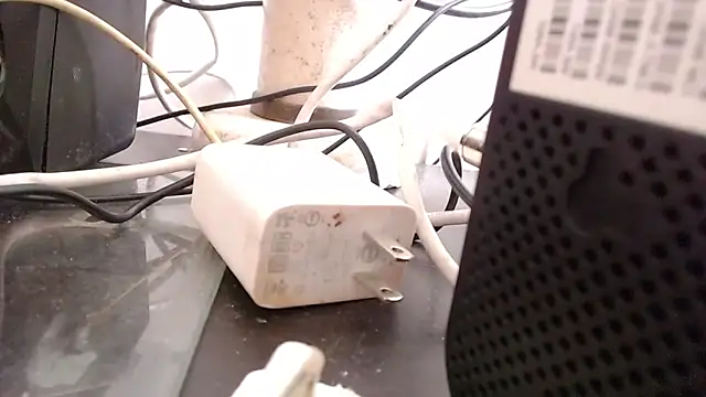 bardotbigcockts online show from 25, 9, 2025