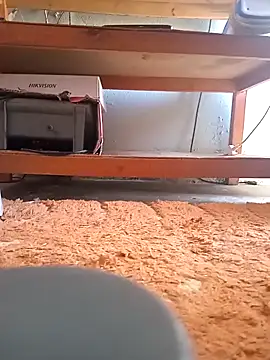 poloplayer123 online show from 13, 2, 2026