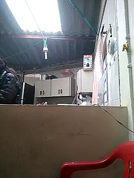 Cameron puppy online show from 16, 3, 2026