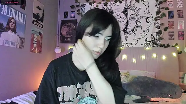 Snapshot of Anisawithlove chatting on 19, 12, 2024 Anisawithlove online show from 19, 12, 2024