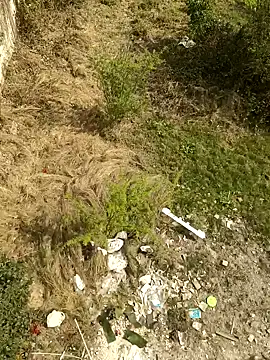 lund lol online show from 24, 2, 2025