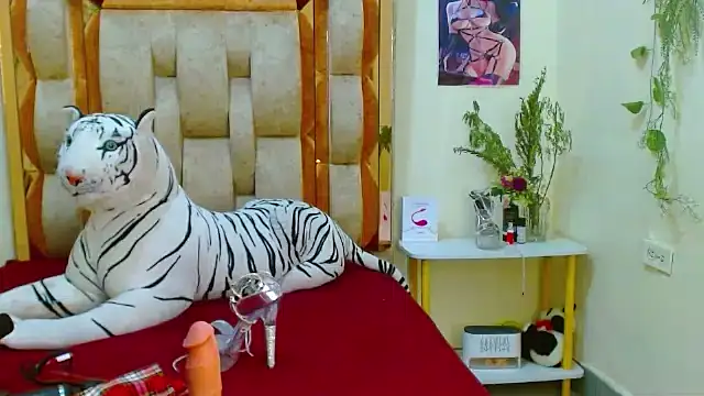 Snapshot of lady_scarlettt chatting on 30, 1, 2025 lady scarlettt online show from 30, 1, 2025