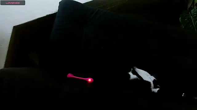 Snapshot of lady_scarlettt chatting on 18, 2, 2025 lady scarlettt online show from 18, 2, 2025