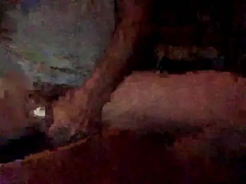 Nodsride online show from 22, 12, 2025