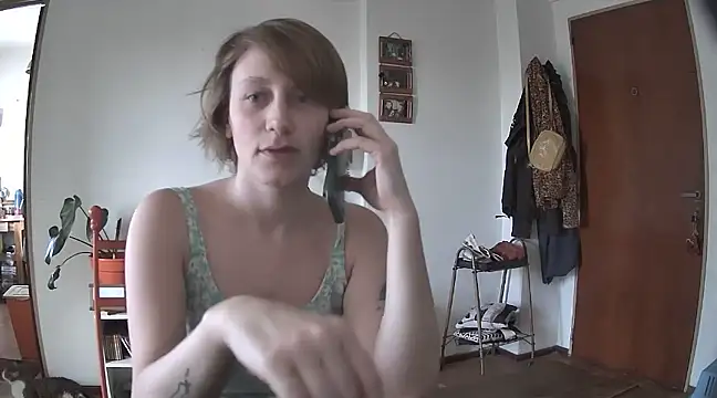 stupid babybird online show from 20, 12, 2024