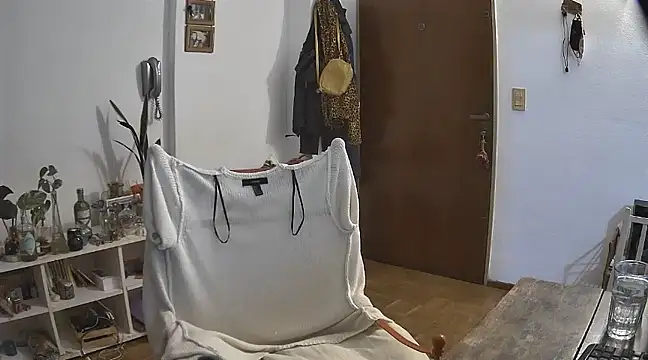 stupid babybird online show from 21, 12, 2024