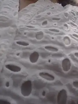 scarlett moore online show from 25, 4, 2026