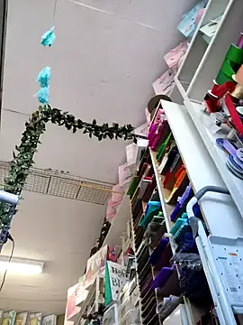 Mia Novikov online show from 4, 10, 2025