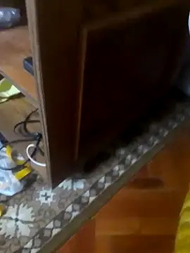 babyboy74 online show from 10, 10, 2025