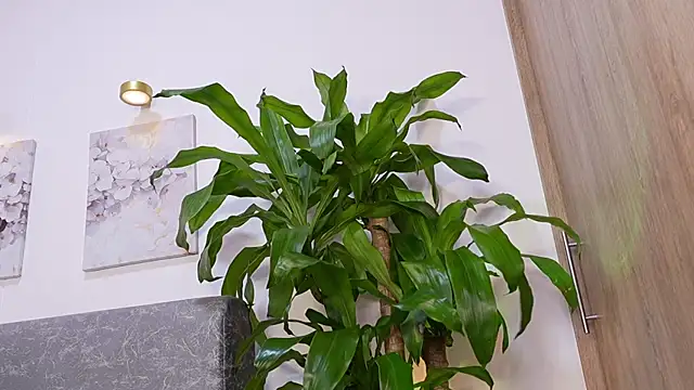 katie cruz online show from 23, 4, 2026