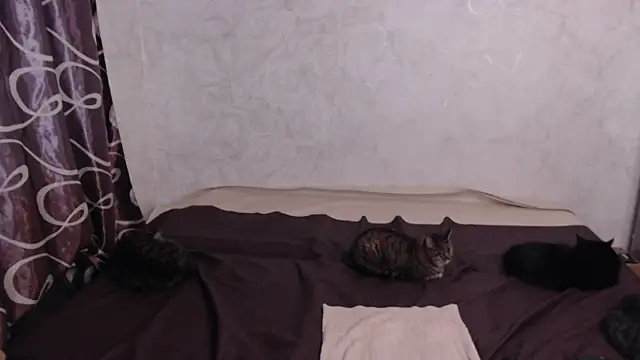 Olivia Winston online show from 10, 4, 2026