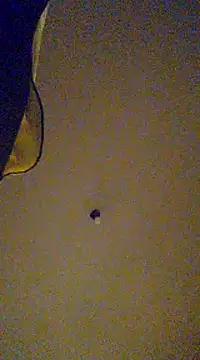 gala2 online show from 13, 2, 2025