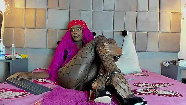 puca ebony online show from 8, 3, 2025