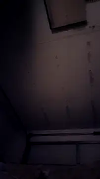 Forbidden daddy online show from 11, 4, 2026